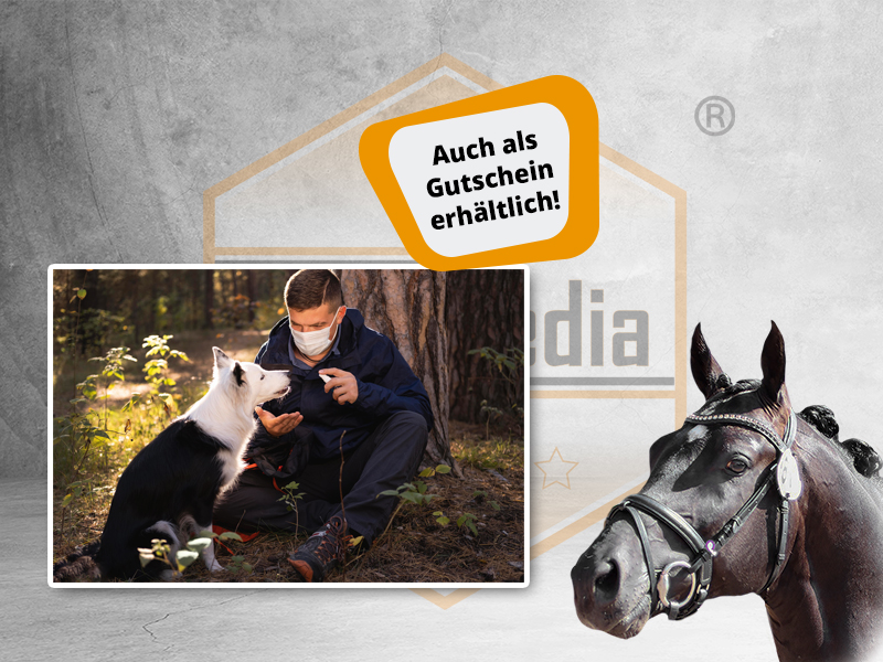 Online-Trainer zum Tierheilpraktiker (m/w/d) {{IN KÜRZE VERFÜGBAR!  }}